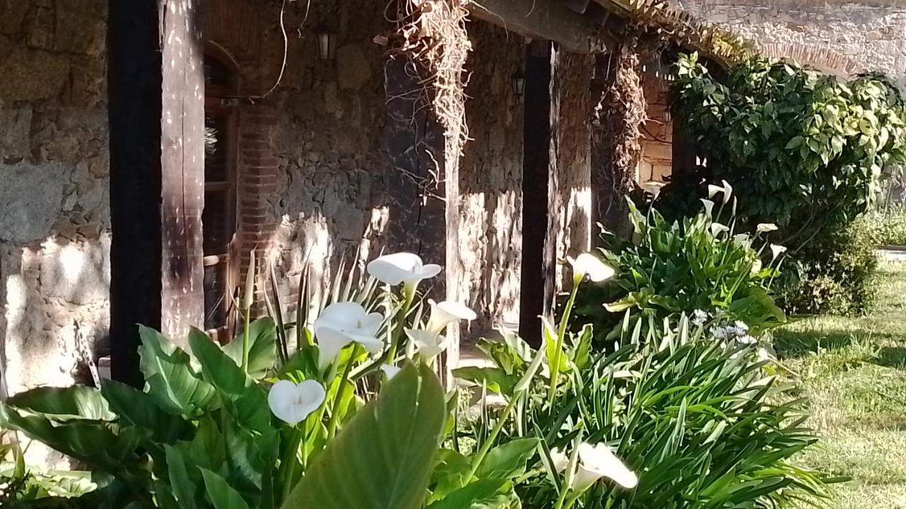 Casa Rural El Refugi Platja D'Aro 4 Romanyá de la Selva Buitenkant foto